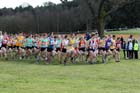 Senior mens start, McCain Inter Counties Cross Country, Cofton Park, Birmingham.